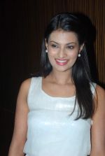Sayali Bhagat at the launch of Cellulike mobile service in Novotel, Mumbai on 18th Feb 2012 (30).JPG